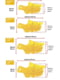 Намордник Dog Muzzle, размер M, цвет желтый | 6654963 | фото 2