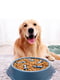 Миска для повільного годування собак сіро-синя 24х17х5 см | 6694939 | фото 4