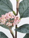 Штучна квітка евкаліпт/рожевий 30 см | 6690136 | фото 2