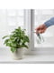 Розпилювач для рослин прозоре скло 25 cl | 6693518 | фото 4