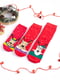 Набір новогодних  махровых носков красного цвета с принтом "FAMILY LOOK" (3 пары) | 6697913