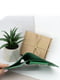 Шкіряний міні-гаманець у літньому зеленому кольорі | 6085098 | фото 5