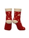 Червоні шкарпетки із принтом «олені» | 6706407 | фото 3