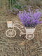 Композиція із свіжих квітів лаванди в декоративному кашпо "Велосипед" | 6708464 | фото 2