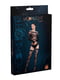 Комплект: боді та панчохи Moonlight Model 06 XS-L Black, довгі рукави, малюнок у вигляді ліфа, силуе | 6719047 | фото 3