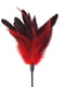 Лоскітка червона Art of Sex - Feather Paddle, перо молодого півня | 6719201 | фото 2