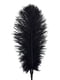 Лоскітка зі страусиним пером  Art of Sex - Feather Tickler, колір Чорний | 6719520 | фото 3
