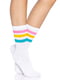 Шкарпетки жіночі в смужку Leg Avenue Pride crew socks Pansexual, 37–43 розмір | 6720697