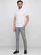 Сірі класичні штани в смужку | 6726259 | фото 2