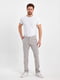 Світло-сірі повсякденні штани з кишенями | 6729017 | фото 2