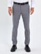 Сірі класичні штани з кишенями | 6729198 | фото 3