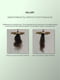 Набор для всех типов волос Intensive Nori Building and Strengthening | 6732502 | фото 4