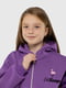 Спортивний костюм фіолетовий: толстовка та штани | 6739888 | фото 4