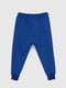 Спортивні штани з принтом сині | 6739711 | фото 2
