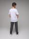 Спортивні штани для хлопчика з принтом сірі | 6742270 | фото 5