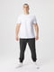 Спортивні штани чоловічі графітові | 6746248 | фото 5