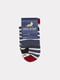 Шкарпетки різнокольорові в смужку | 6739428