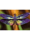 Пазли тришарові панорамні Барвиста природа Метелик | 6745807 | фото 2
