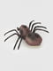 Павук інтерактивний різнокольоровий | 6746043 | фото 3