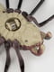 Павук інтерактивний різнокольоровий | 6746043 | фото 4