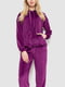 Фіолетовий велюровий спортивний костюм оливкового кольору: худі та джогери | 6759581 | фото 2
