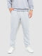 Світло-сірі спортивні штани з кишенями | 6759591