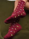 Демісезонні бордові шкарпетки з принтом | 6761048 | фото 2