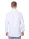 Біла класична сорочка в синю смужку | 6749361 | фото 2