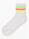 Шкарпетки різнокольорові (4 шт) | 6749372 | фото 3