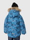 Синя зимова куртка з принтом та капюшоном з хутром | 6751576 | фото 4