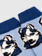 Шкарпетки (23-25) блакитного кольору  з принтом “Хаскі” | 6753376 | фото 7