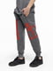 Спортивні штани для хлопчика темно-сірі | 6757429 | фото 2