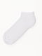 Шкарпетки білі | 6758657