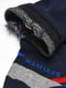 Шкарпетки спортивні темно-синього кольору розмір з принтом | 6769214 | фото 3