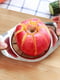 Кухонний ніж-яблукорізка для нарізки часточками яблук | 6777254 | фото 2