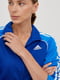 Синьо-блакитний спортивний костюм: кофта з коміром-стійкою і штани на зав’язках | 6791382 | фото 2