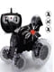 Машинка-перевертень Toy RC Car Monster Monster Spinning Саг на радіокеруванні чорна | 6796158