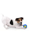 Іграшка NERF для собак | 6788712 | фото 4
