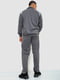 Сірий трикотажний костюм: толстовка та штани | 6801402 | фото 4