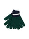 Комплект зеленый с принтом: шапка и перчатки | 6804747 | фото 3