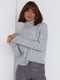 Світло-сірий трикотажний светр з рукавами-регланами | 6807256 | фото 6