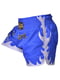 Шорти «Muay Thai Fighter»  blue | 6807892 | фото 4