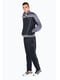 Черно-серый спортивный костюм с лого: кофта и брюки | 6817407