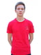 Хлопковая красная футболка с принтом и аппликациями | 6817764