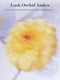 Набір для тіла Lush Orchid Amber Victoria's Secret міст та лосьйон 1159801253 (Салатовий, 236 ml/250 ml) | 6824879 | фото 6