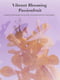 Набір для тіла Vibrant Blooming Passionfruit Victoria's Secret міст та лосьйон 1159801258 (Блакитний, 236 ml/250 ml) | 6824882 | фото 6