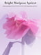 Набір для тіла Bright Mariposa Apricot Victoria's Secret міст та лосьйон 1159801261 (Рожевий, 236 ml/250 ml) | 6824883 | фото 6