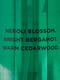 Набор для тела Neroli Bergamot Victoria’s Secret мист и лосьон 1159801269 (Зеленый, 236 ml/250 ml) | 6824885 | фото 6