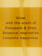 Набор для тела Pineapple & Shea от Victoria’s Secret 1159801295 (Желтый, One Size) | 6824886 | фото 6
