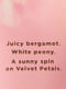 Набір для тіла Velvet Petals Sol Victoria's Secret міст та лосьйон 1159801554 (Рожевий, 236 ml/250 ml) | 6824899 | фото 5